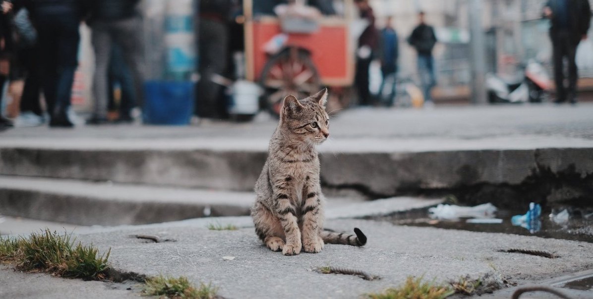 о нас